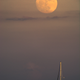 Illustration for article titled Moon Pics
